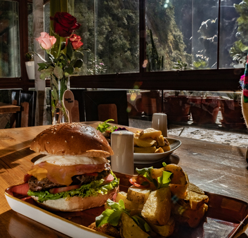 Platillo de hamburguesa con papas fritas